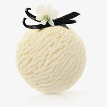 Madagascar Vanilla Bean Ice Cream